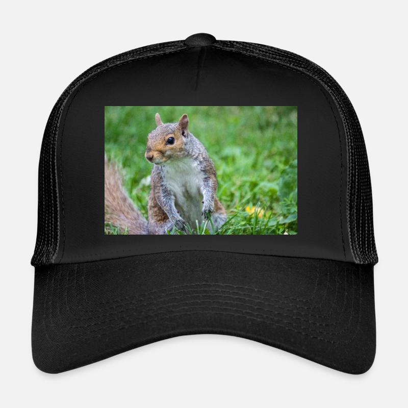 Écureuil gris Grauhörnchen Sciurus carolinensis Casquette trucker 