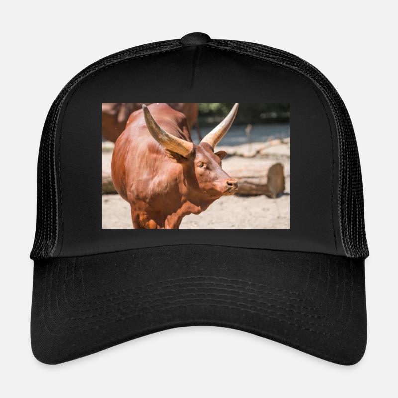 Ankole-Watusi oder Ankole Longhorn Watussirind Trucker Cap