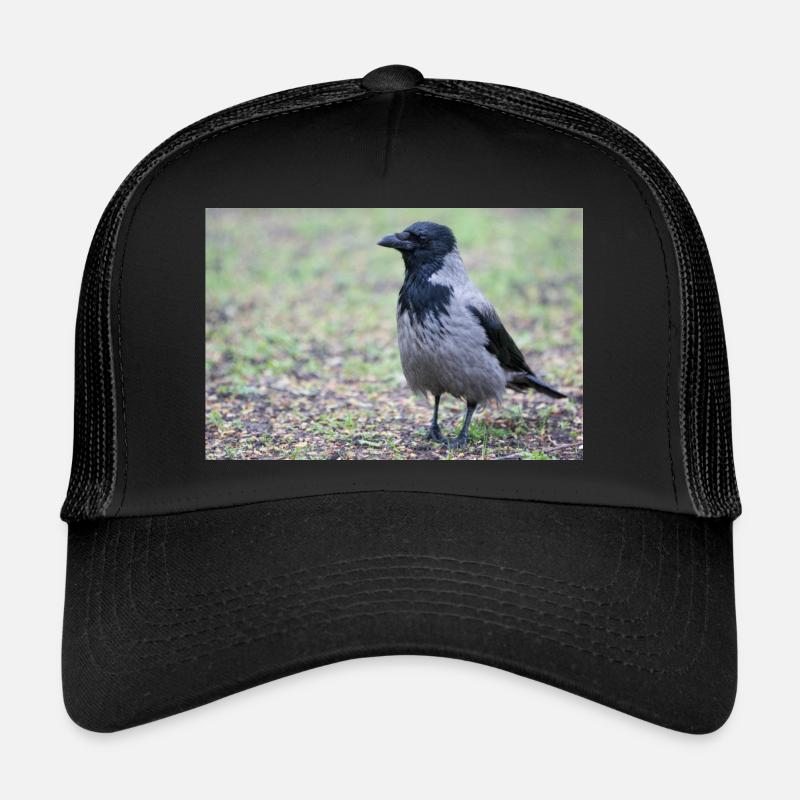 Corneille de Carrion (Aaskrähe, Corvus corone) Casquette trucker 