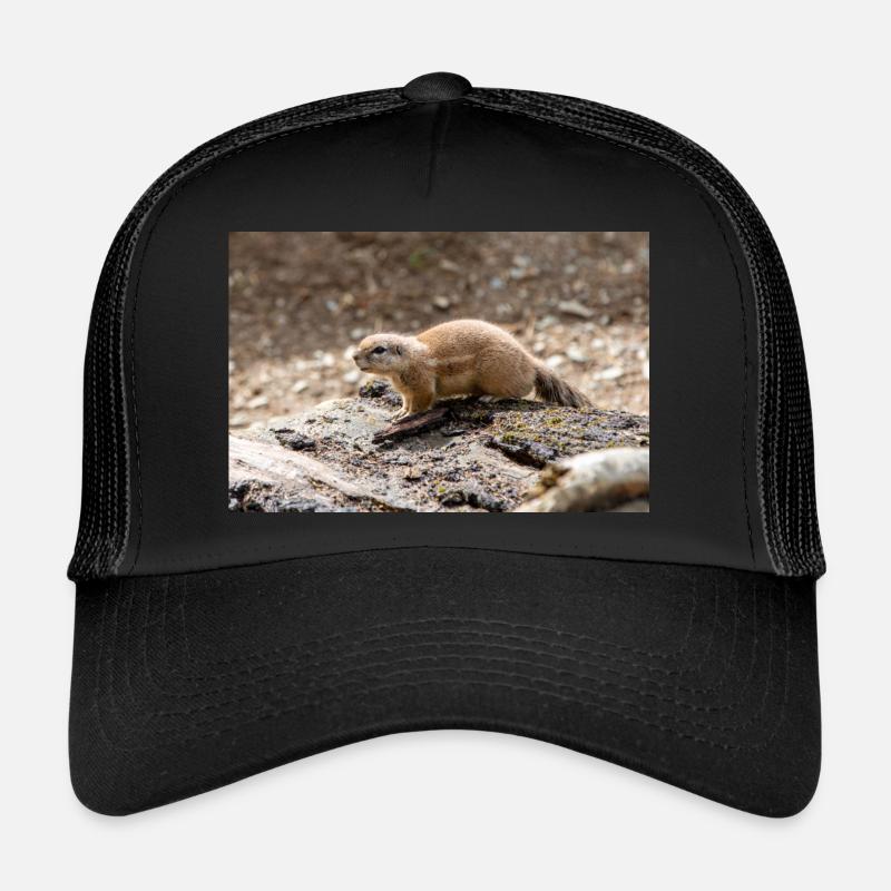 Afrikanisches Ziesel Borstenhörnchen Xerus Trucker Cap