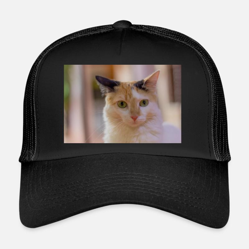 The cat Trucker Cap