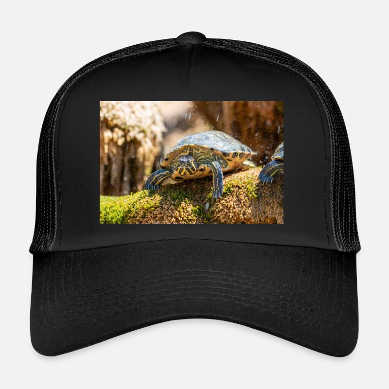 Gelbbauch-Slider Trachemys scripta scripta - Trucker Cap - Schwarz/Schwarz