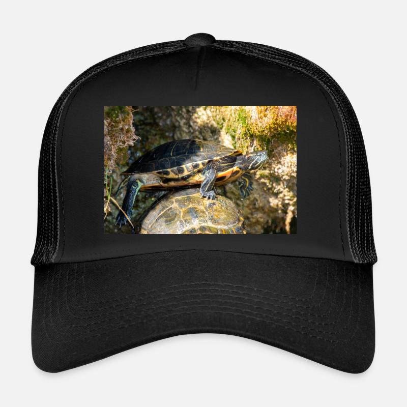 Gelbbauch-Slider Trachemys scripta scripta Trucker Cap