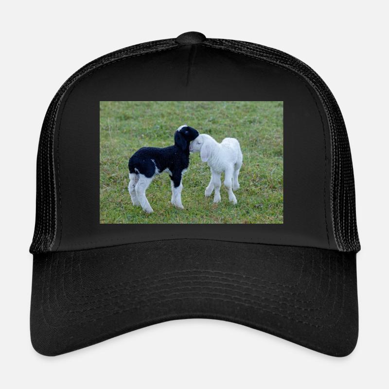 Agneaux noirs et blancs Casquette trucker 