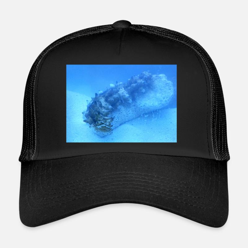 Lake Roller Trucker Cap