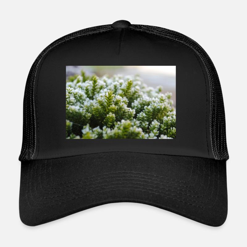 Coup de macro nature mousse Casquette trucker 
