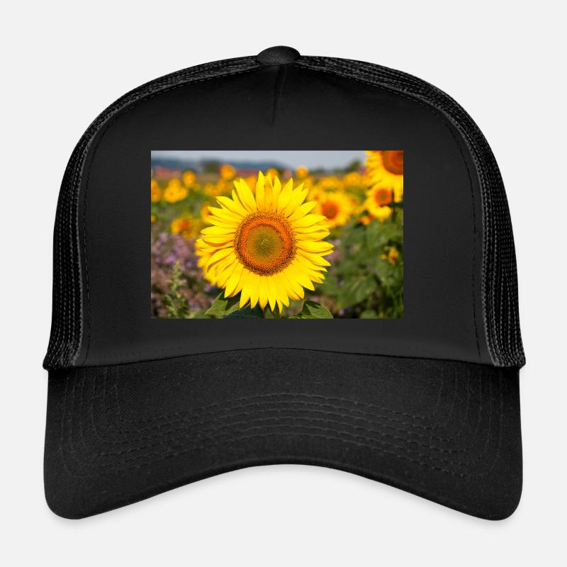 Sonnenblumen Blütenkopf ragt aus einem Feld hervor Trucker Cap