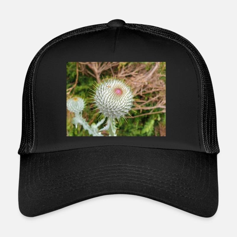 Chardon écossais aussi chardon laineux Casquette trucker 