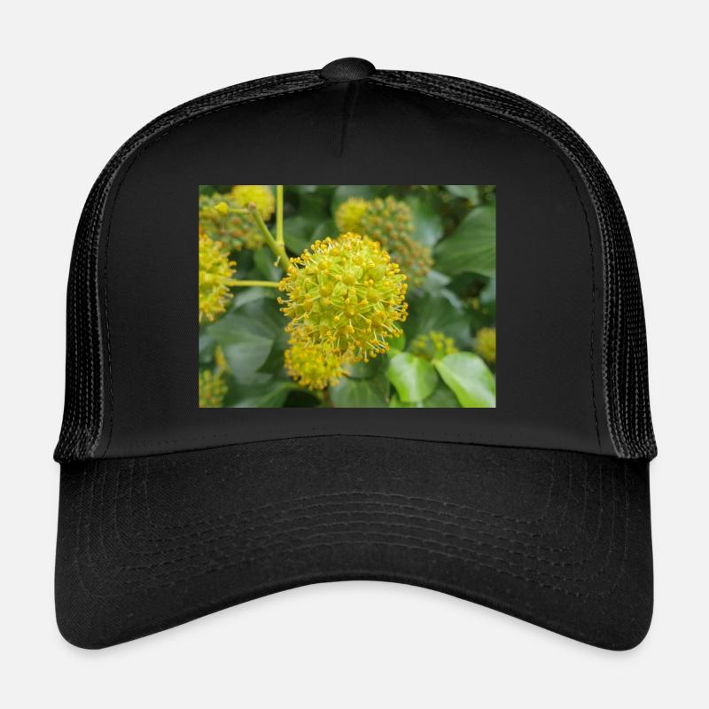 Persischer Efeu (Kolchischer Efeu) Trucker Cap