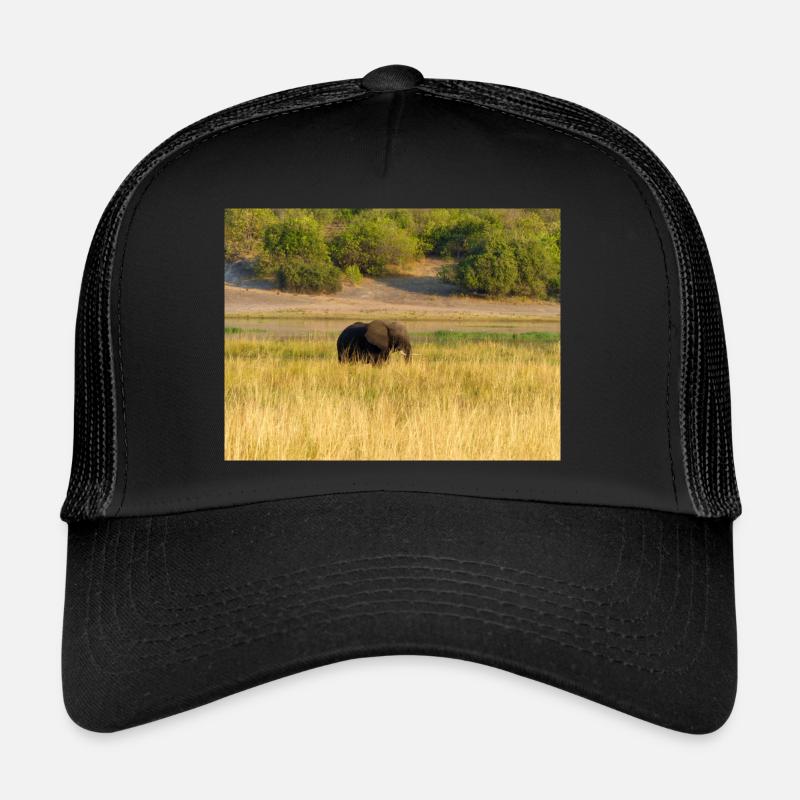 elephants in Namibia Africa Trucker Cap