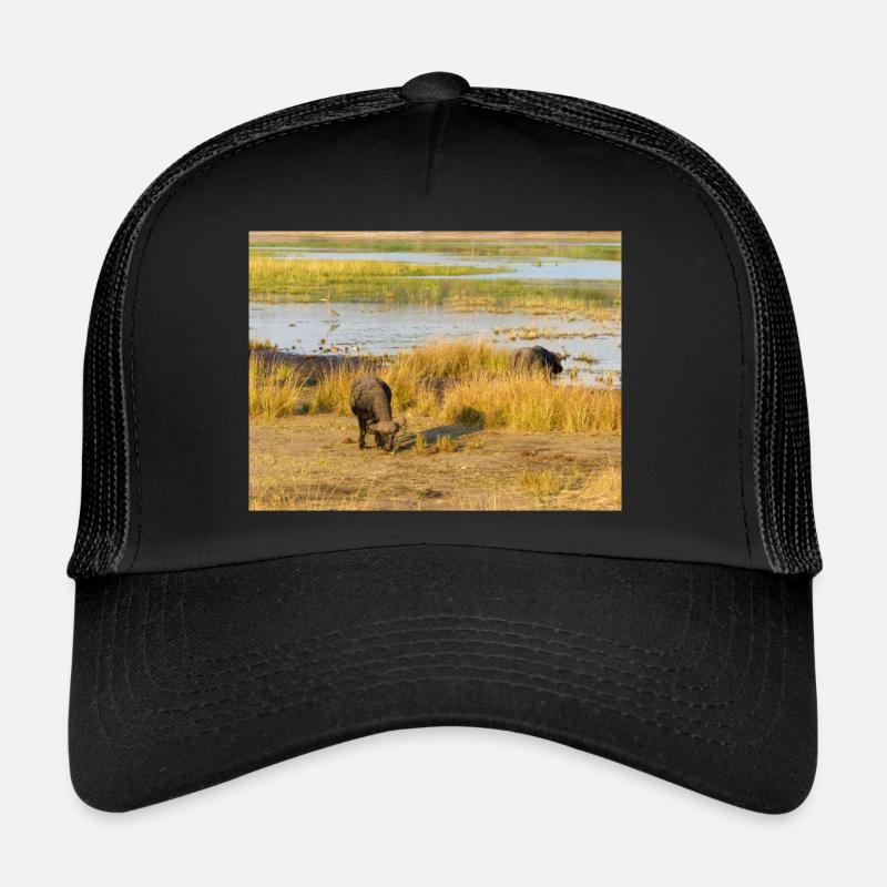 Afrikanische Kapbüffelherde Namibia Afrika Trucker Cap