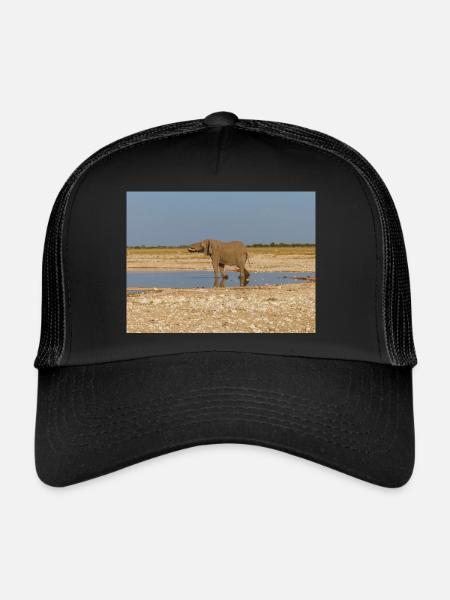 éléphant et paysage dans un parc national d’Etosha - Casquette trucker  - noir/noir - Devant