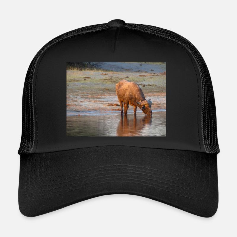 Paysage à la rivière Cubango avec le buffle du Cap Casquette trucker 
