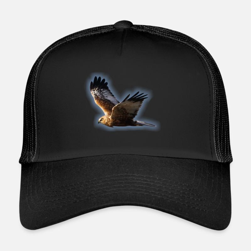 Harrier Marsh - Trucker Cap - black/black