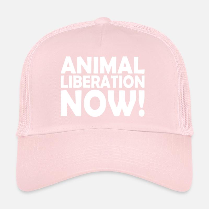 Casquette trucker 