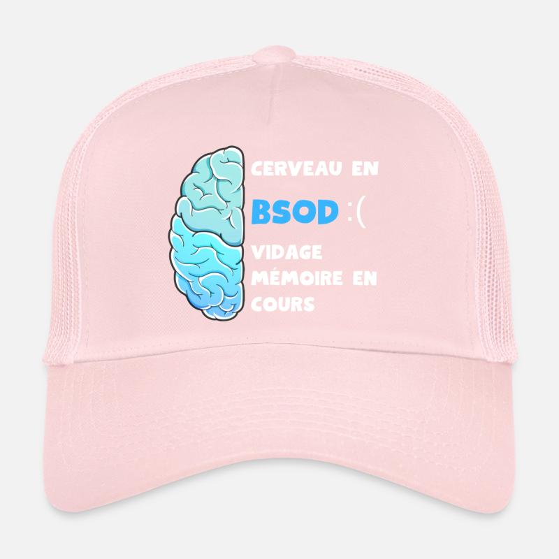 Vidage mémoire en cours. BSOD Casquette trucker 