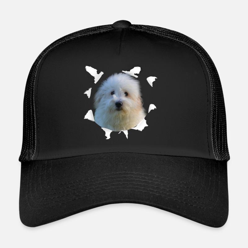 Coton de Tulear - Chien Coton de Tulear - Casquette trucker  - noir/noir