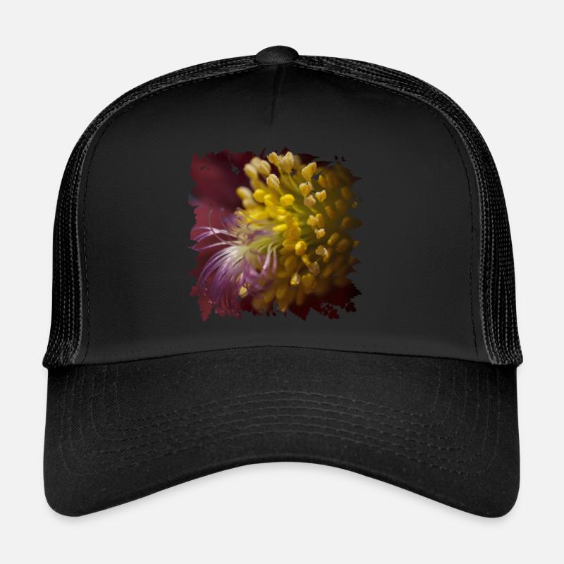 La fleur de pasque est utilisée en médecine populaire Casquette trucker 