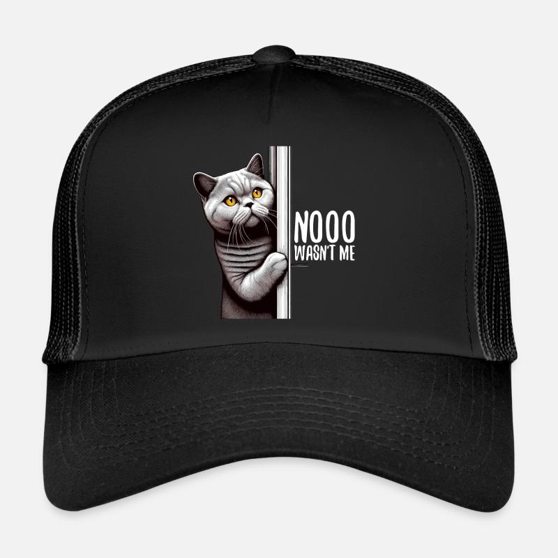 Nein war ich nicht BKH Blue Katze Geschenk Trucker Cap