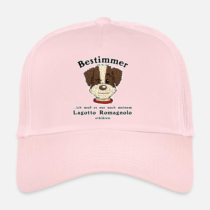 Déterminer Casquette trucker 