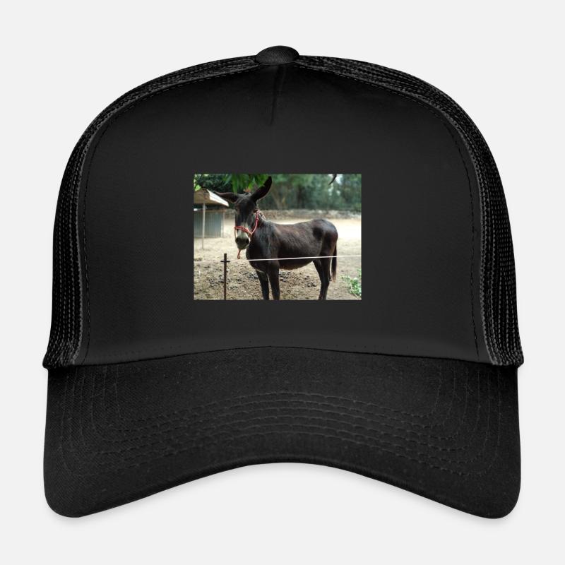 Âne - Casquette trucker  - noir/noir