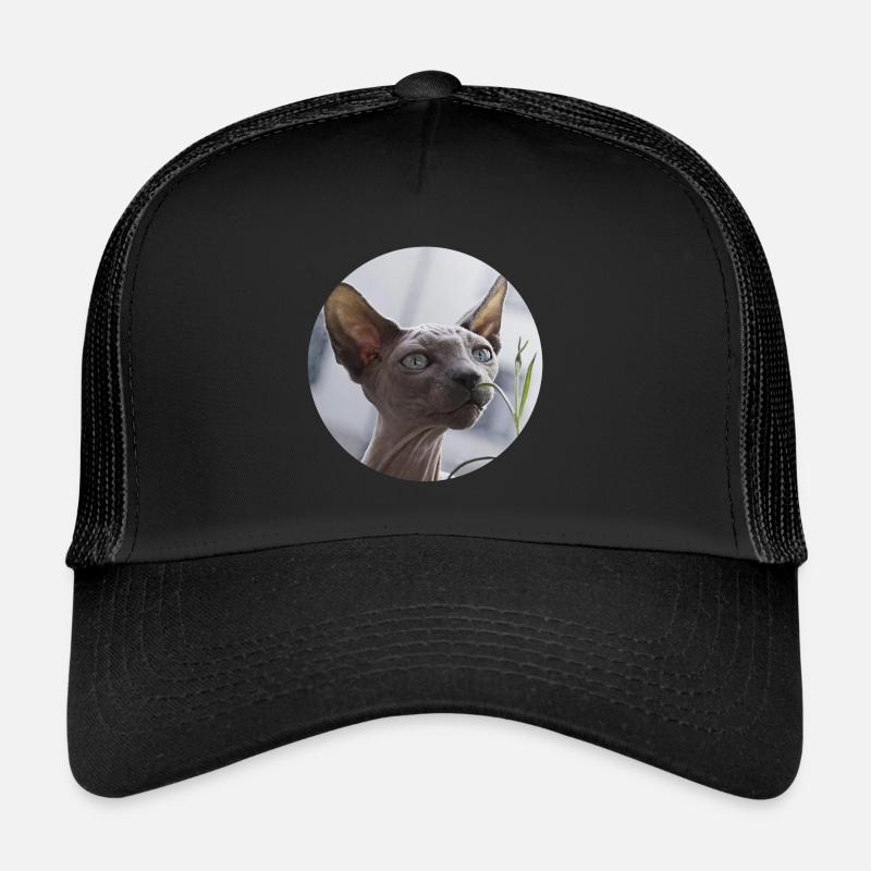 Nacktkatze don Sphynx Katze - Trucker Cap - Schwarz/Schwarz
