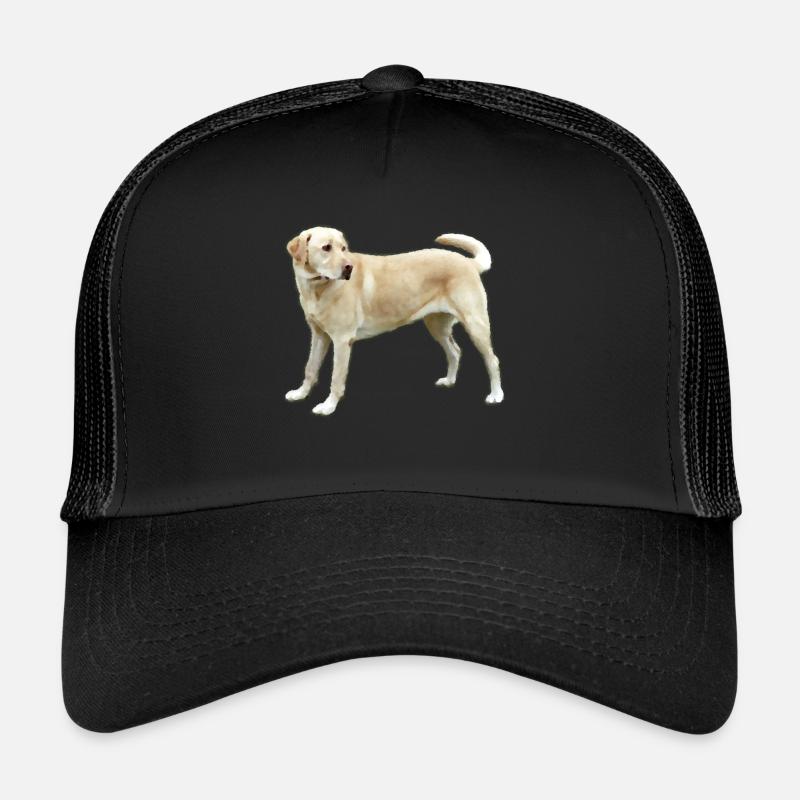 Labrador in light brown - Trucker Cap - black/black