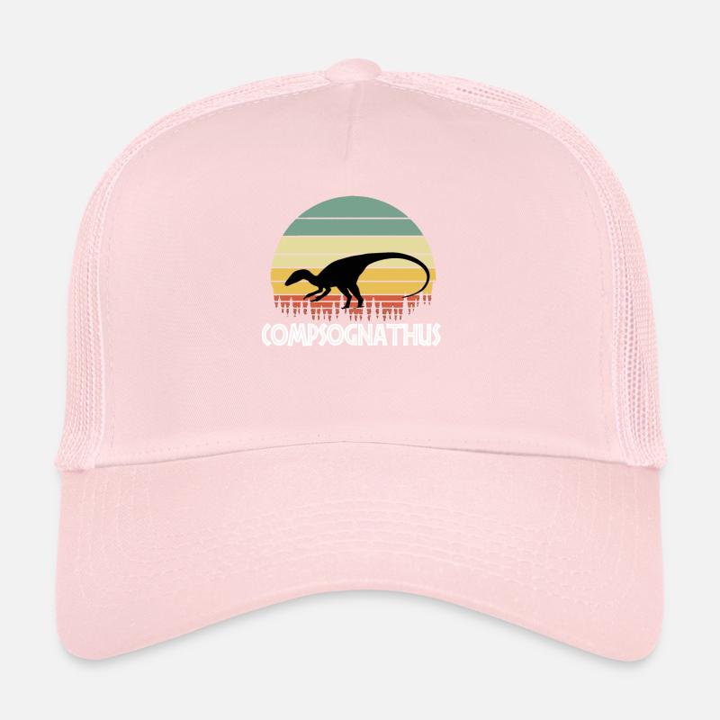 Casquette trucker 