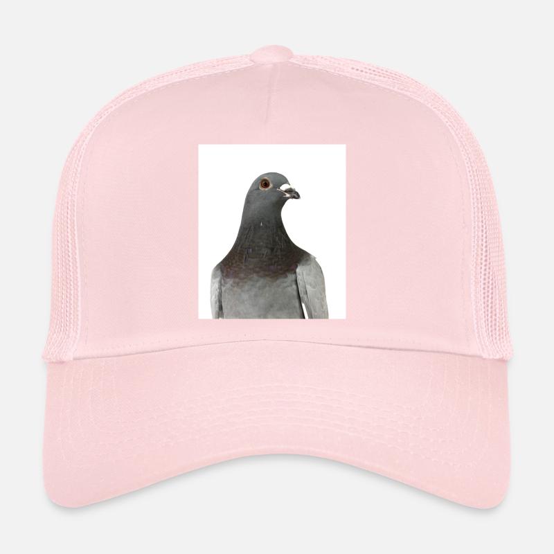 Colombe. Pigeon Casquette trucker 
