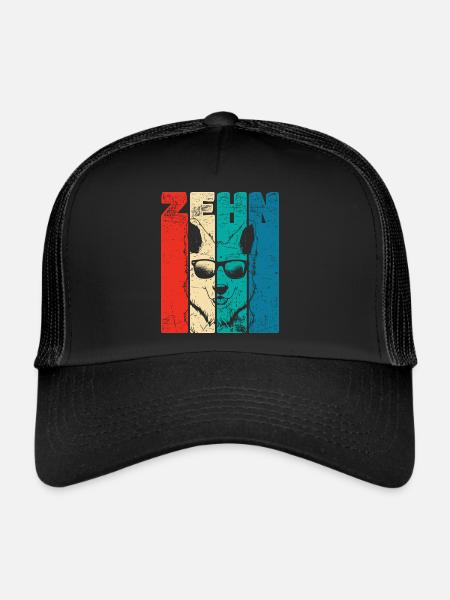 Retro Ten 10 ans 10 . Chien de berger d’anniversaire - Casquette trucker  - noir/noir - Devant