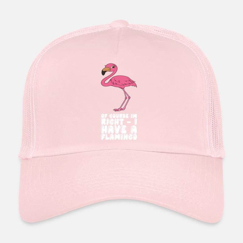 Funny flamingo graphics Trucker Cap