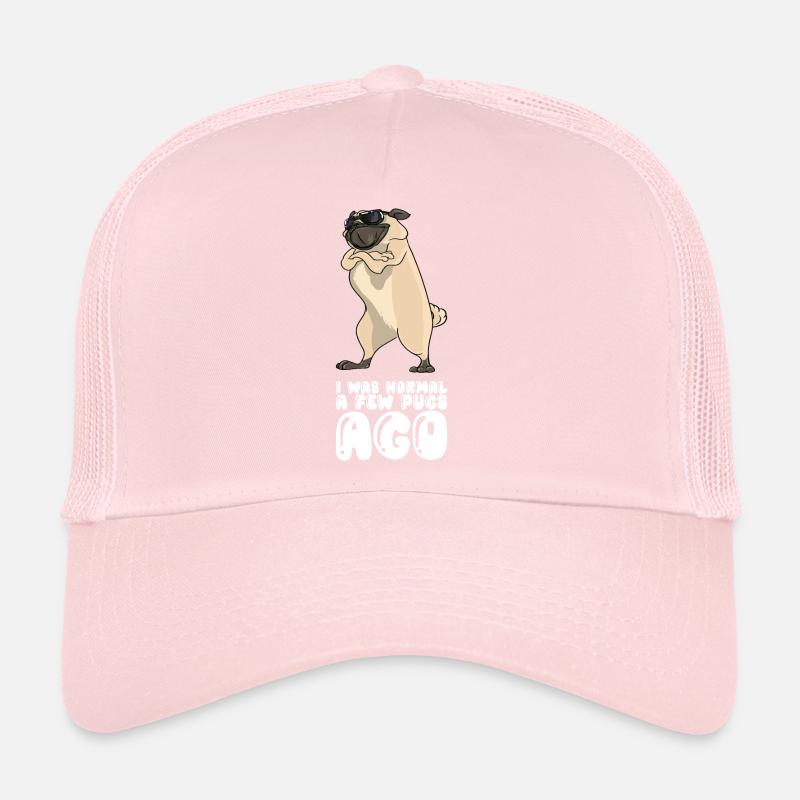 J’étais normal il y a quelques carlins Casquette trucker 