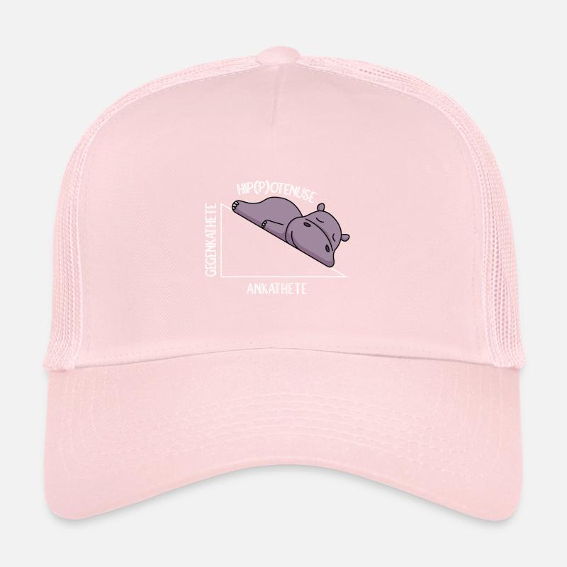 Algebra Math Student Math Teacher Hippotenuse Trucker Cap