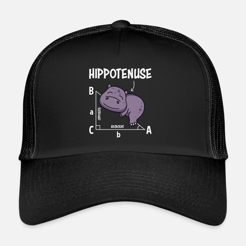 Mathelehrer Hippotenuse Mathematik Trucker Cap