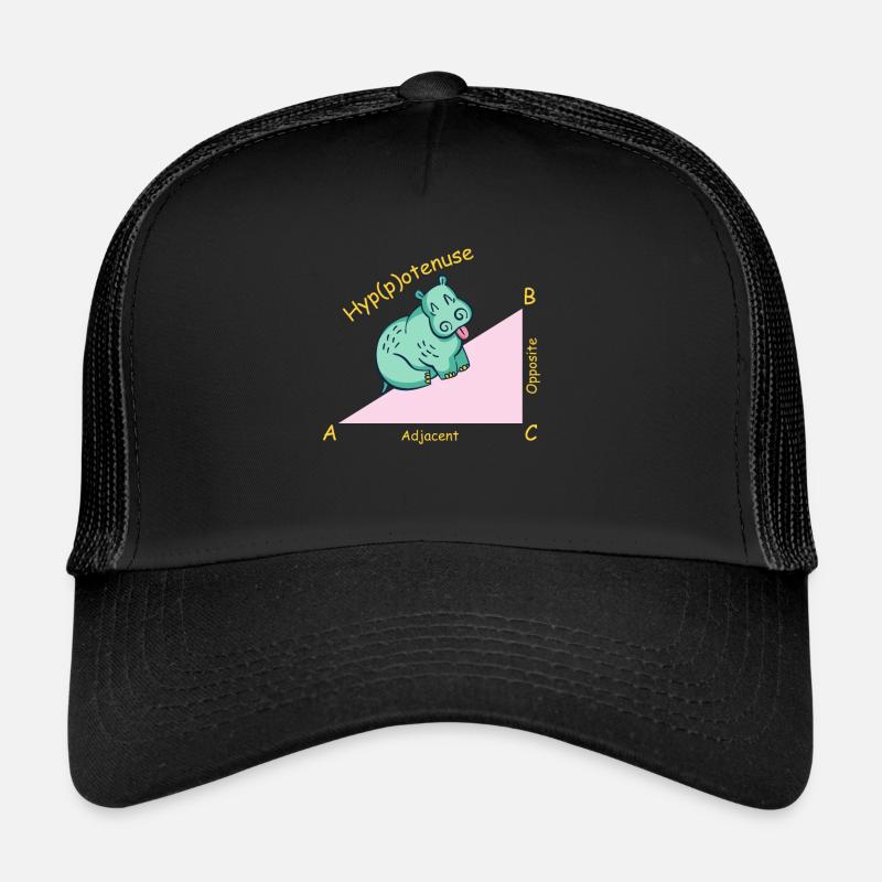 Mathelehrer Mathematiker Hippotenuse Trucker Cap
