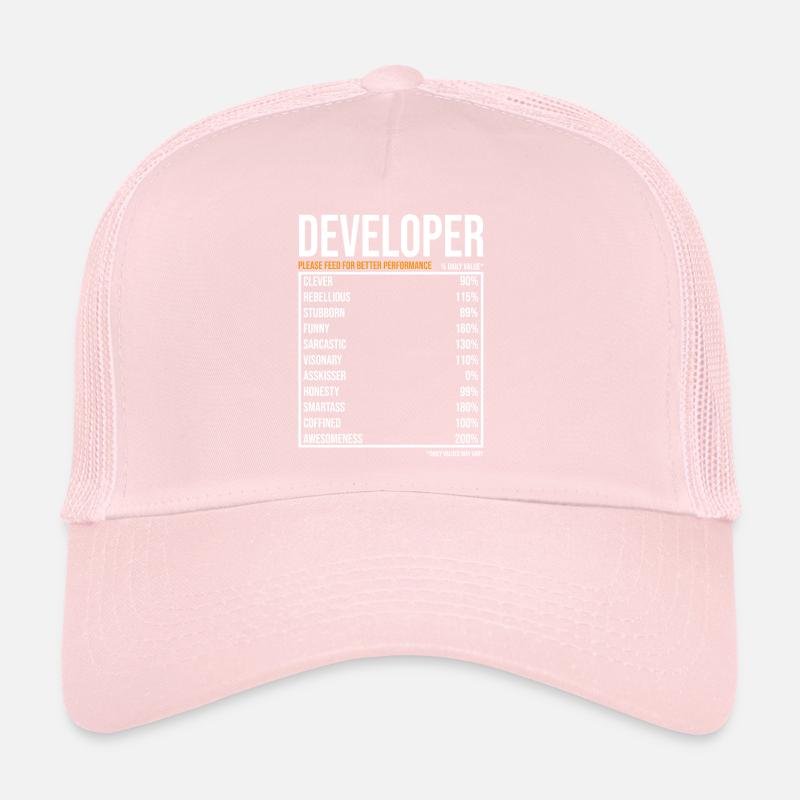 Entwickler Softwareentwickler Informatiker Coder Trucker Cap
