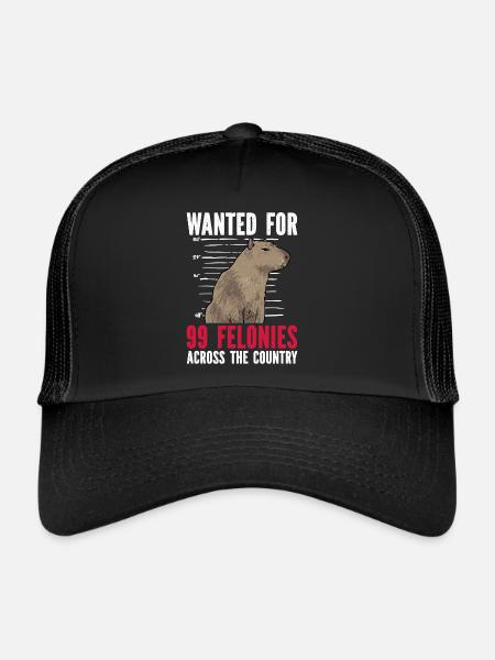 Capybara Nagetier - Trucker Cap - Schwarz/Schwarz