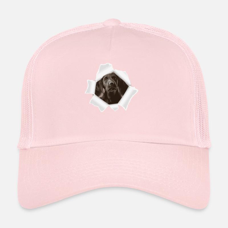 Chien jetant un coup d’œil à travers le trou Casquette trucker 