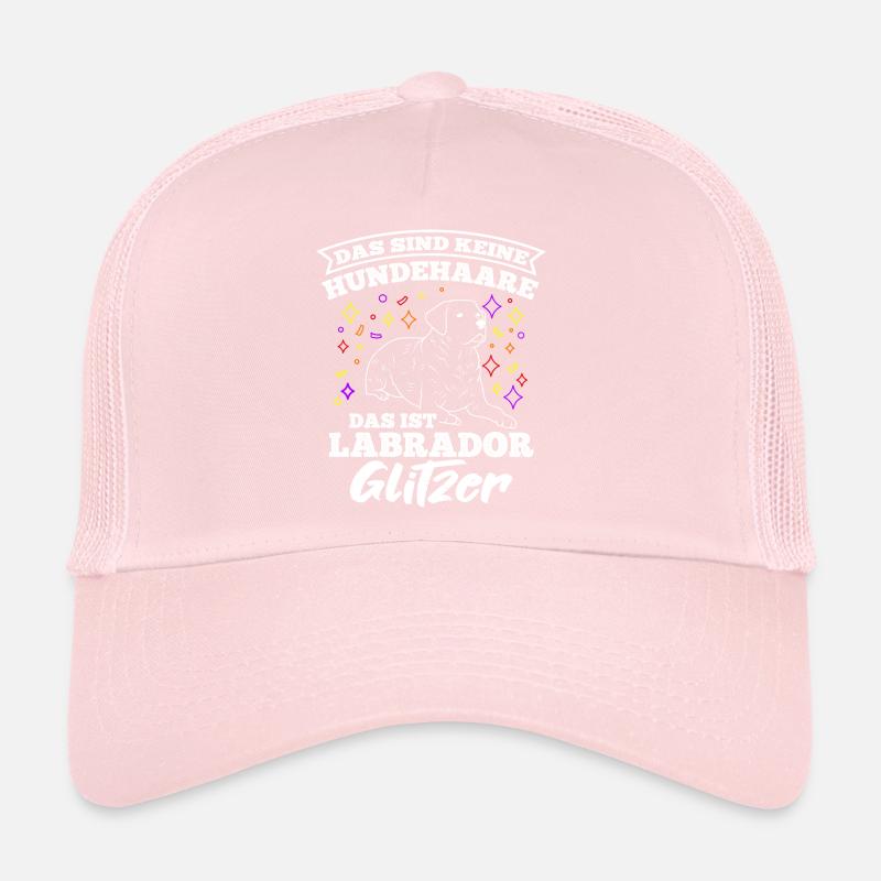 Labrador Gassi Gehen Hundebesitzer Hund Geschenk H Trucker Cap