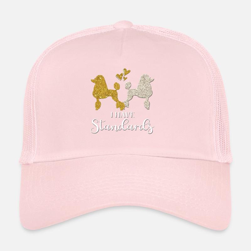 I Have Standards Trucker Cap