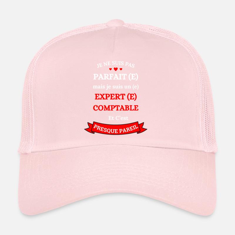 PERFEKTER WIRTSCHAFTSPRÜFER Trucker Cap