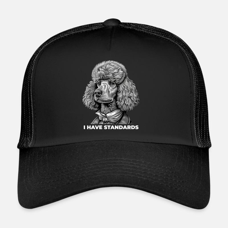 I Have Standards - Trucker Cap - Schwarz/Schwarz