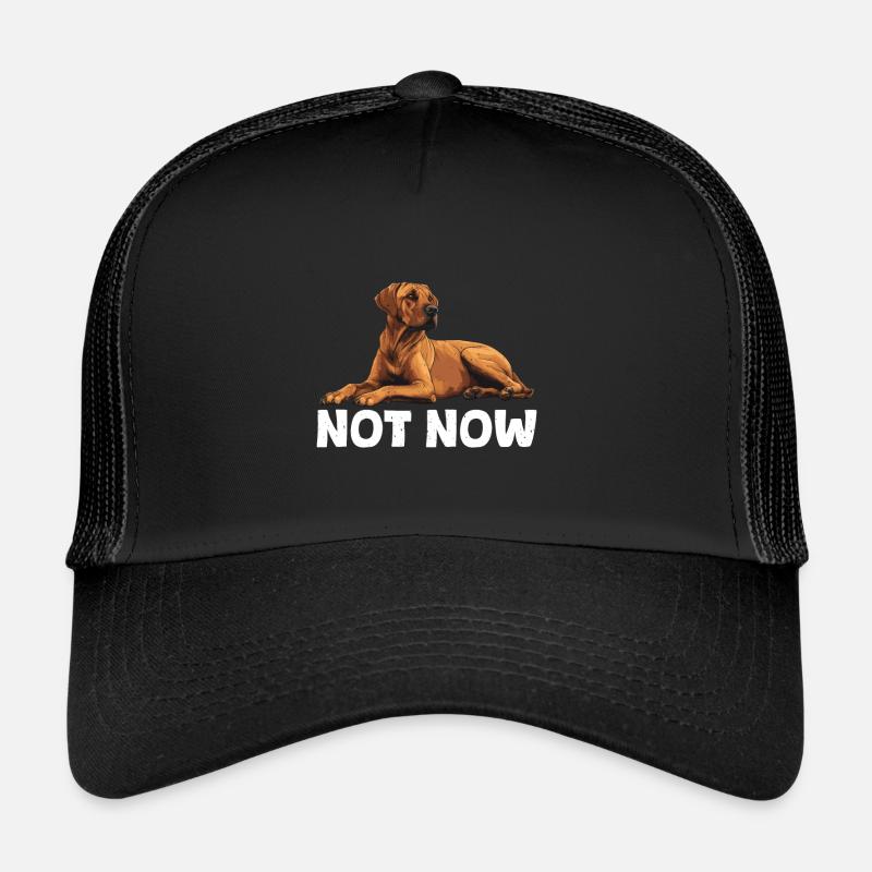Rhodesian Ridgeback NOT NOW Hundebesitzer - Trucker Cap - Schwarz/Schwarz