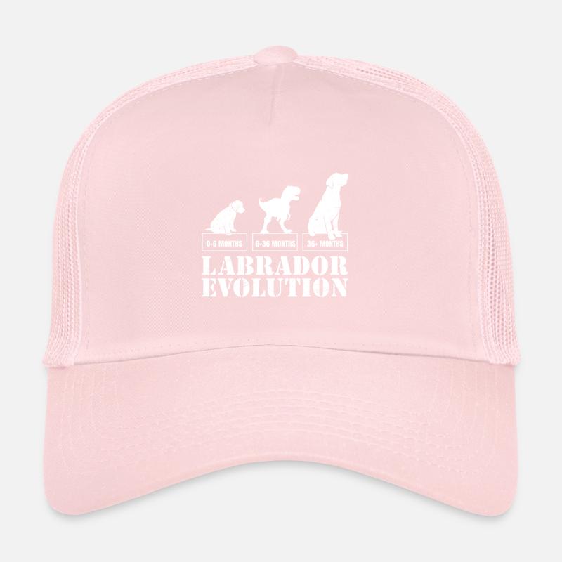 Labrador EVOLUTION Labrador Lover Drôle Casquette trucker 