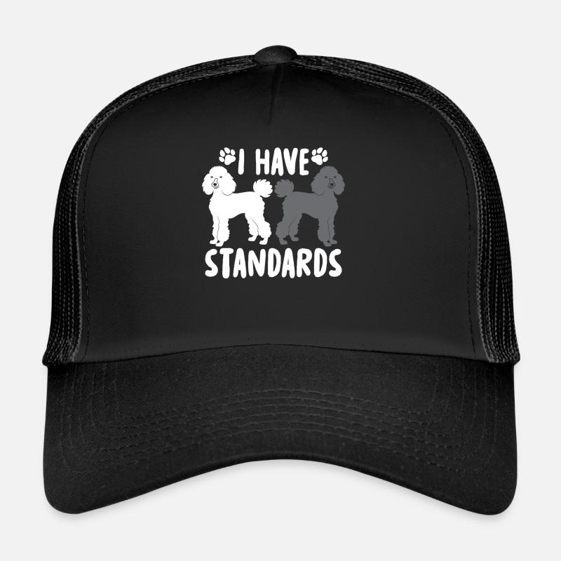 I Have Standards Trucker Cap