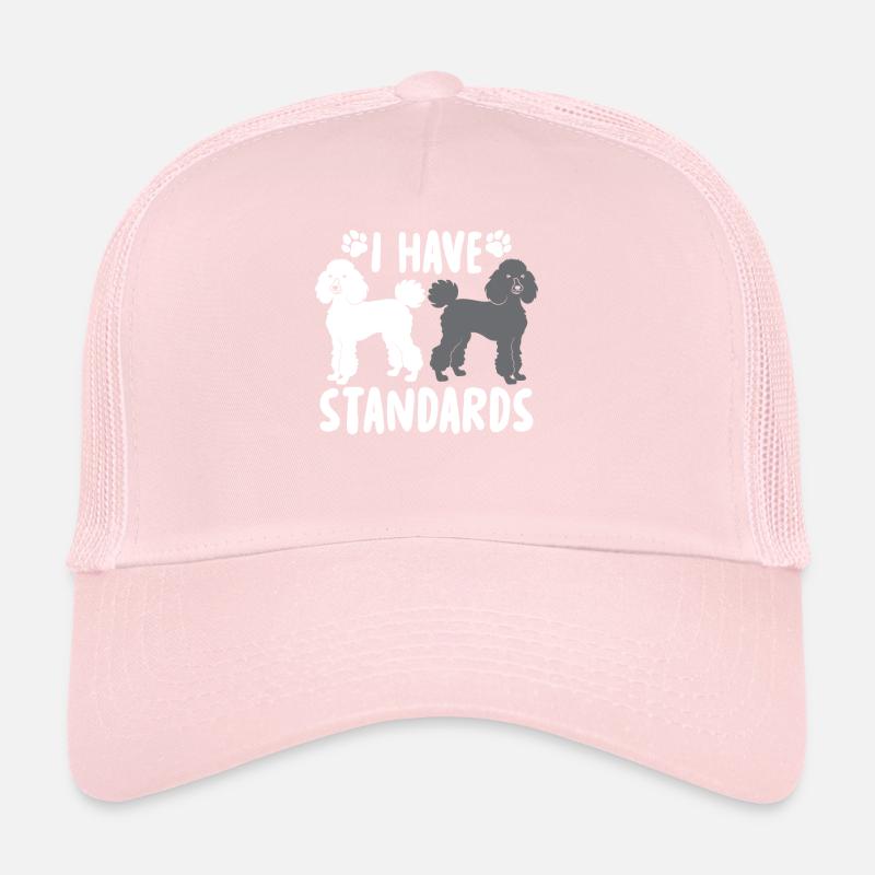 I Have Standards Trucker Cap