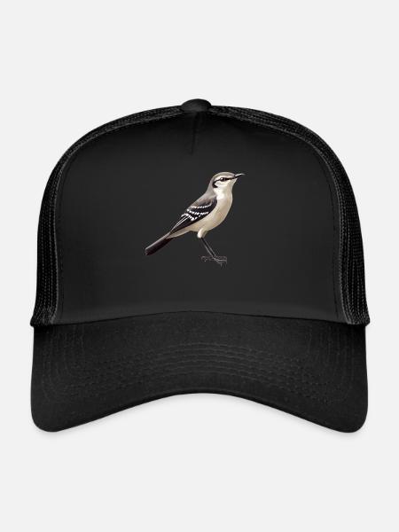 Oiseaux moqueurs Oiseaux moqueurs - Casquette trucker  - noir/noir - Devant