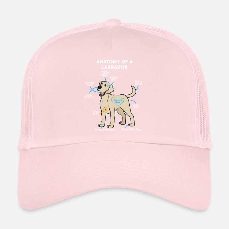 Hund Labrador Trucker Cap