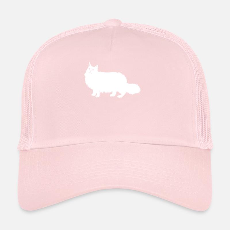 Chat Maine Coon Casquette trucker 