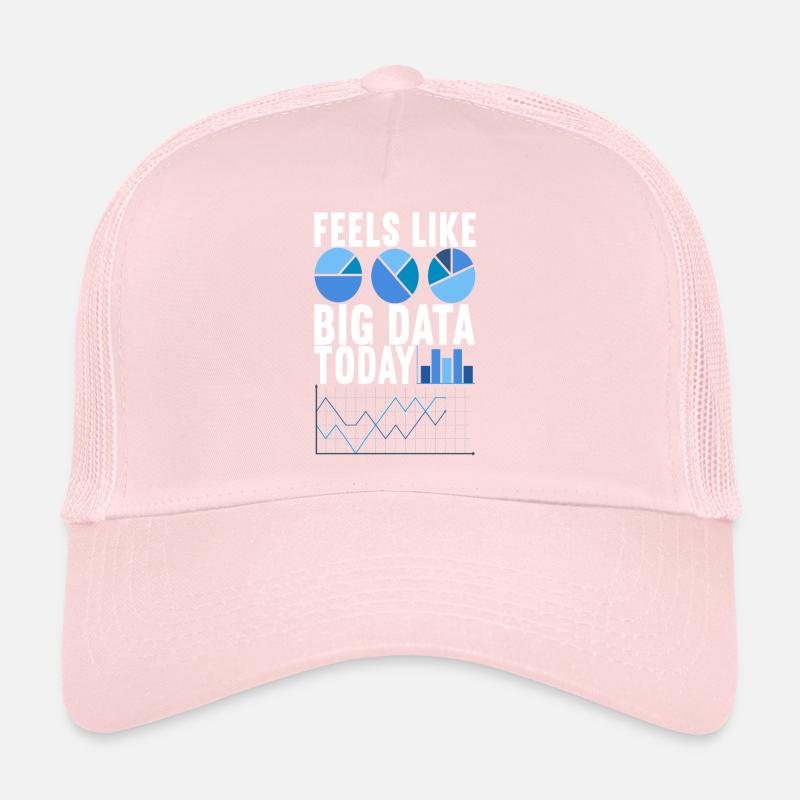 Data Scientist Data Analyst Trucker Cap